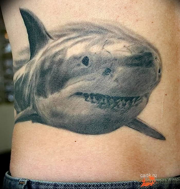 photo tattoo shark от 25.09.2018 №184 - drawing of the predator of the seas - tattoovalue.net