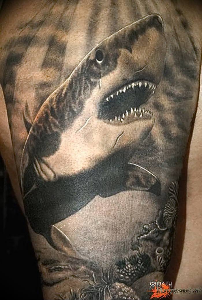 photo tattoo shark от 25.09.2018 №185 - drawing of the predator of the seas - tattoovalue.net