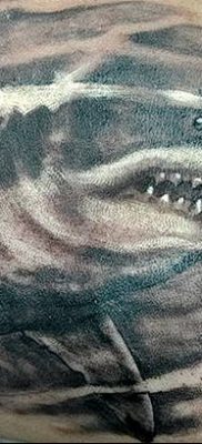 photo tattoo shark от 25.09.2018 №186 – drawing of the predator of the seas – tattoovalue.net