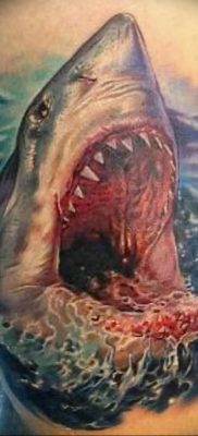 photo tattoo shark от 25.09.2018 №187 – drawing of the predator of the seas – tattoovalue.net