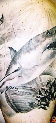 photo tattoo shark от 25.09.2018 №189 – drawing of the predator of the seas – tattoovalue.net