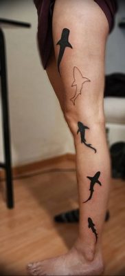 photo tattoo shark от 25.09.2018 №192 – drawing of the predator of the seas – tattoovalue.net