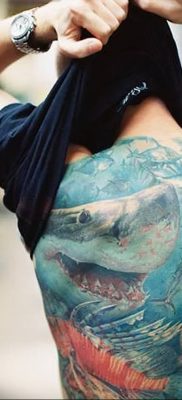 photo tattoo shark от 25.09.2018 №194 – drawing of the predator of the seas – tattoovalue.net