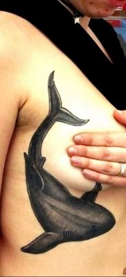 photo tattoo shark от 25.09.2018 №197 – drawing of the predator of the seas – tattoovalue.net
