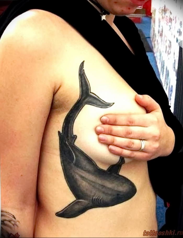 photo tattoo shark от 25.09.2018 №197 - drawing of the predator of the seas - tattoovalue.net