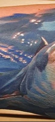 photo tattoo shark от 25.09.2018 №200 – drawing of the predator of the seas – tattoovalue.net