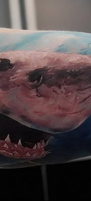 photo tattoo shark от 25.09.2018 №204 – drawing of the predator of the seas – tattoovalue.net