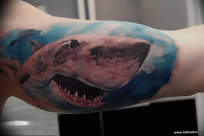 photo tattoo shark от 25.09.2018 №204 - drawing of the predator of the seas - tattoovalue.net