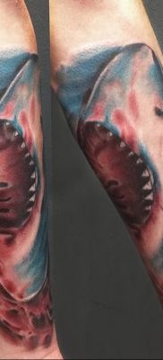 photo tattoo shark от 25.09.2018 №205 – drawing of the predator of the seas – tattoovalue.net