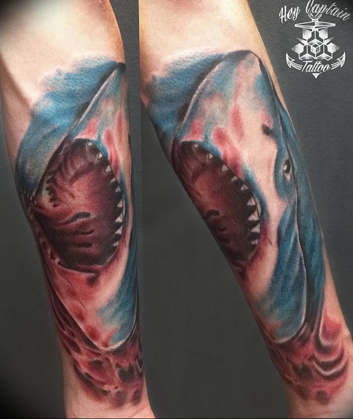 photo tattoo shark от 25.09.2018 №205 - drawing of the predator of the seas - tattoovalue.net