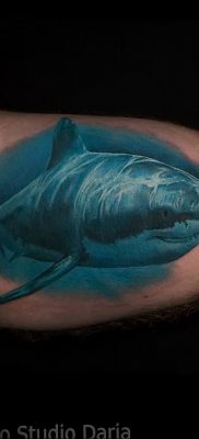 photo tattoo shark от 25.09.2018 №206 – drawing of the predator of the seas – tattoovalue.net