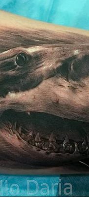 photo tattoo shark от 25.09.2018 №207 – drawing of the predator of the seas – tattoovalue.net
