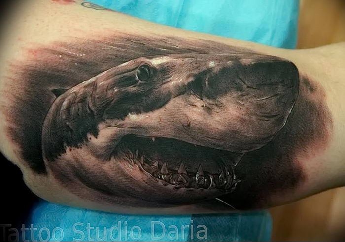 photo tattoo shark от 25.09.2018 №207 - drawing of the predator of the seas - tattoovalue.net