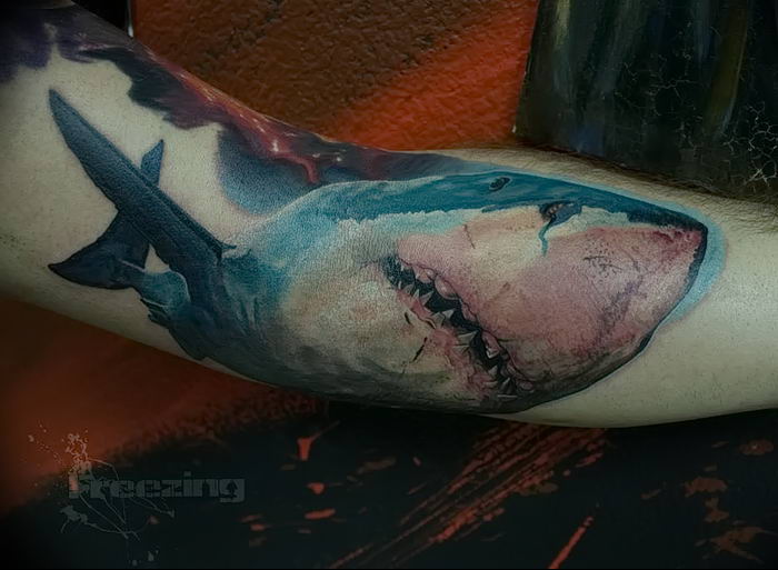 photo tattoo shark от 25.09.2018 №208 - drawing of the predator of the seas - tattoovalue.net