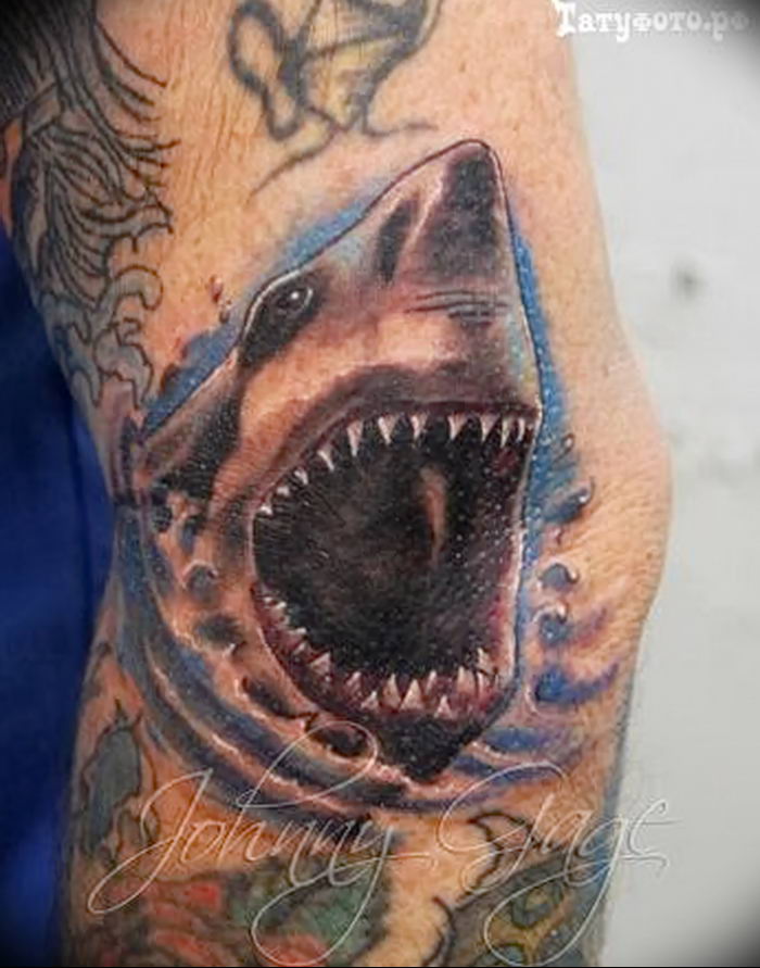 photo tattoo shark от 25.09.2018 №211 - drawing of the predator of the seas - tattoovalue.net
