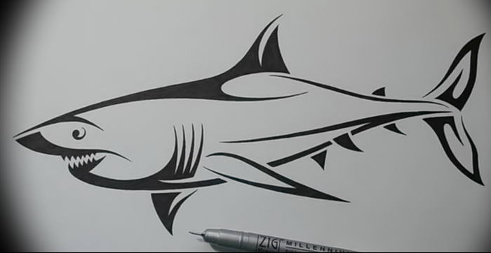 photo tattoo shark от 25.09.2018 №212 - drawing of the predator of the seas - tattoovalue.net