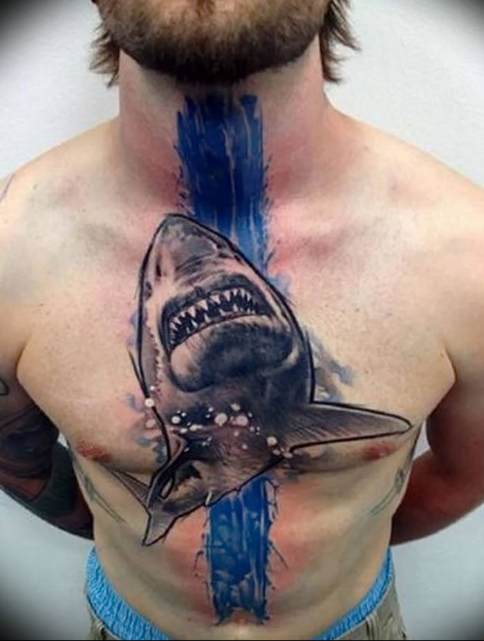 photo tattoo shark от 25.09.2018 №217 - drawing of the predator of the seas - tattoovalue.net