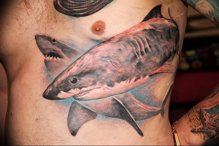 photo tattoo shark от 25.09.2018 №221 - drawing of the predator of the seas - tattoovalue.net