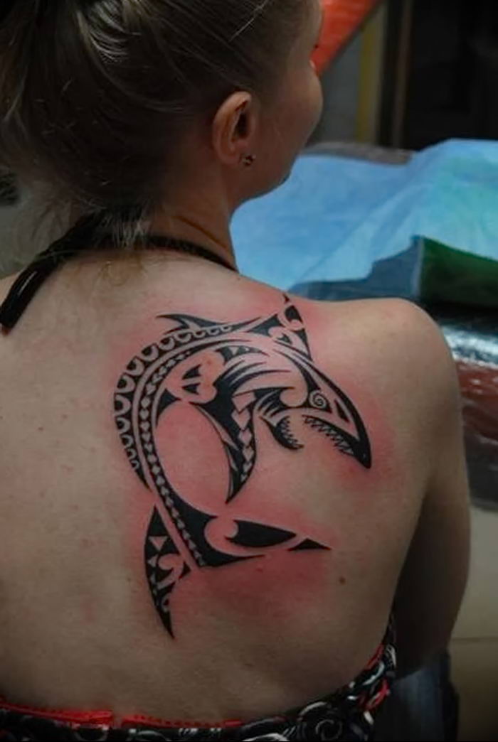 photo tattoo shark от 25.09.2018 №223 - drawing of the predator of the seas - tattoovalue.net