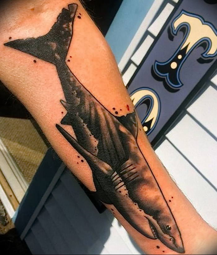 photo tattoo shark от 25.09.2018 №224 - drawing of the predator of the seas - tattoovalue.net