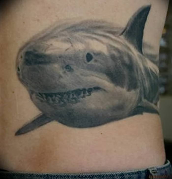 photo tattoo shark от 25.09.2018 №234 - drawing of the predator of the seas - tattoovalue.net