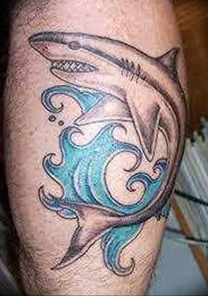 photo tattoo shark от 25.09.2018 №236 - drawing of the predator of the seas - tattoovalue.net