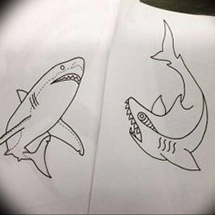 photo tattoo shark от 25.09.2018 №237 - drawing of the predator of the seas - tattoovalue.net