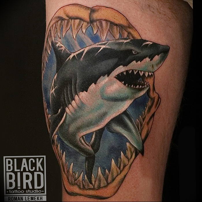 photo tattoo shark от 25.09.2018 №242 - drawing of the predator of the seas - tattoovalue.net