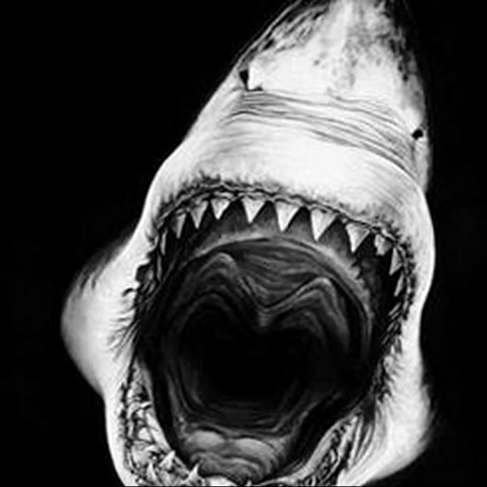 photo tattoo shark от 25.09.2018 №247 - drawing of the predator of the seas - tattoovalue.net
