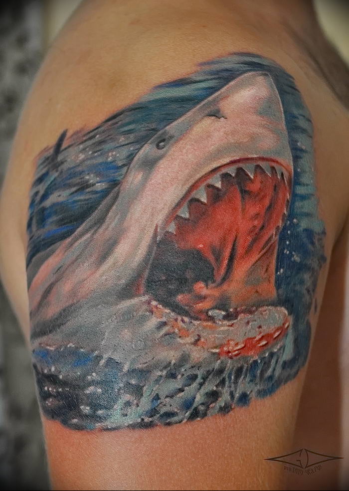 photo tattoo shark от 25.09.2018 №248 - drawing of the predator of the seas - tattoovalue.net
