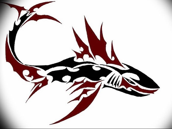 photo tattoo shark от 25.09.2018 №251 - drawing of the predator of the seas - tattoovalue.net