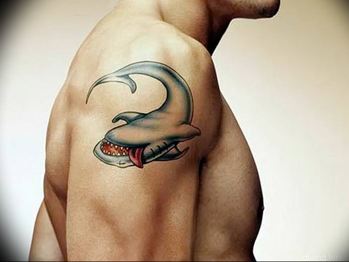 photo tattoo shark от 25.09.2018 №256 - drawing of the predator of the seas - tattoovalue.net