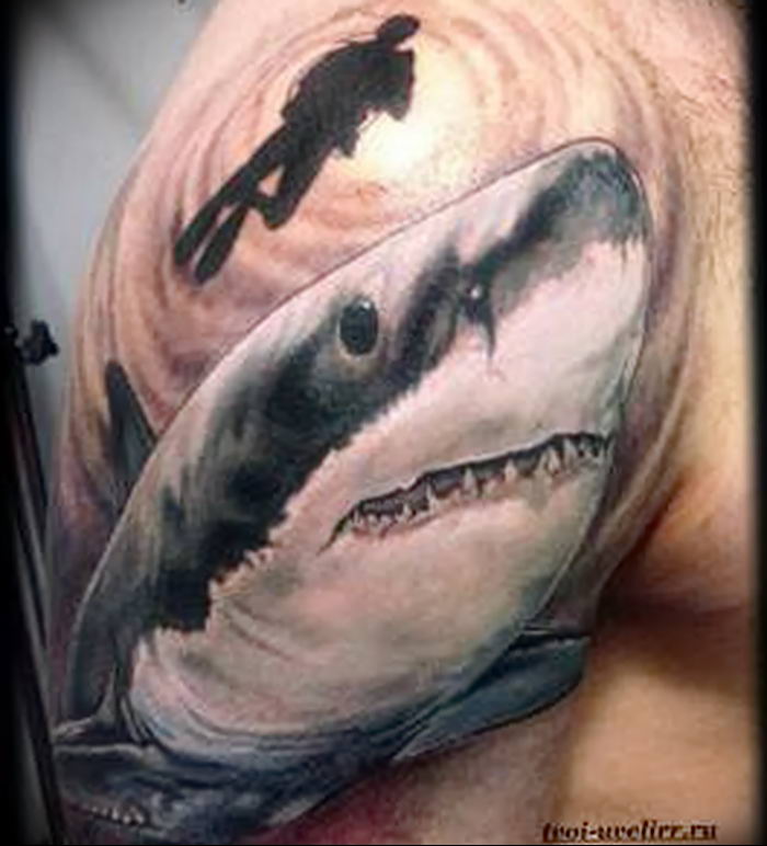 photo tattoo shark от 25.09.2018 №258 - drawing of the predator of the seas - tattoovalue.net