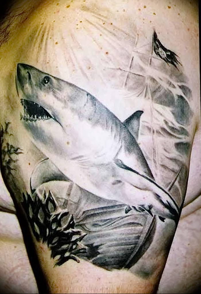 photo tattoo shark от 25.09.2018 №262 - drawing of the predator of the seas - tattoovalue.net