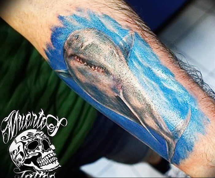 photo tattoo shark от 25.09.2018 №264 - drawing of the predator of the seas - tattoovalue.net