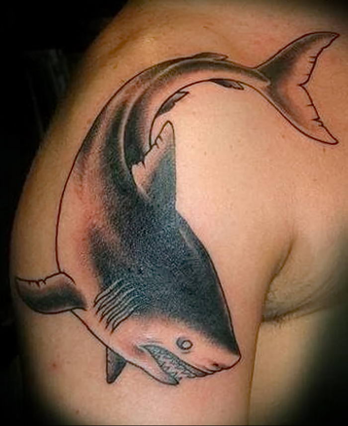 photo tattoo shark от 25.09.2018 №265 - drawing of the predator of the seas - tattoovalue.net