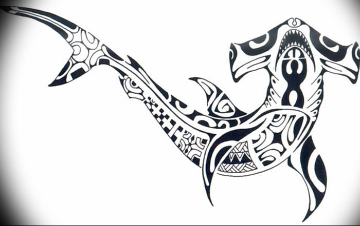 photo tattoo shark от 25.09.2018 №267 - drawing of the predator of the seas - tattoovalue.net