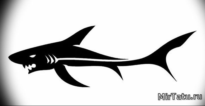 photo tattoo shark от 25.09.2018 №270 - drawing of the predator of the seas - tattoovalue.net