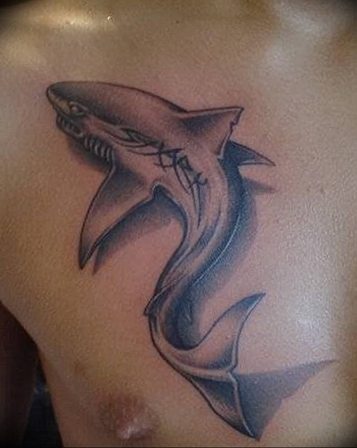 photo tattoo shark от 25.09.2018 №271 - drawing of the predator of the seas - tattoovalue.net
