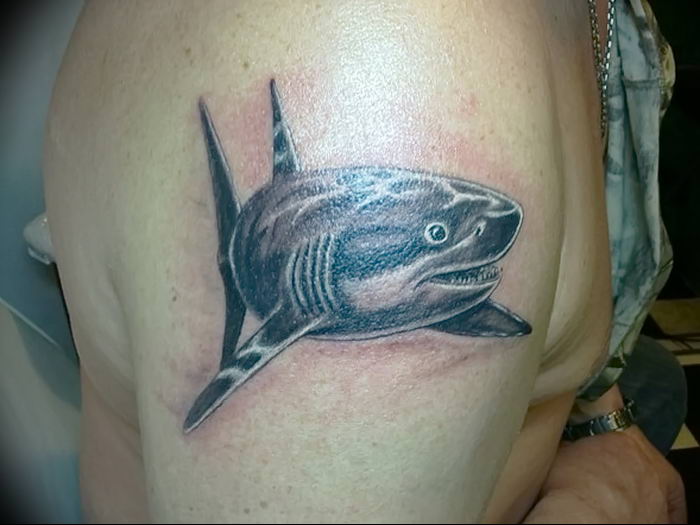 photo tattoo shark от 25.09.2018 №272 - drawing of the predator of the seas - tattoovalue.net