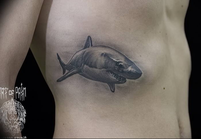 photo tattoo shark от 25.09.2018 №273 - drawing of the predator of the seas - tattoovalue.net