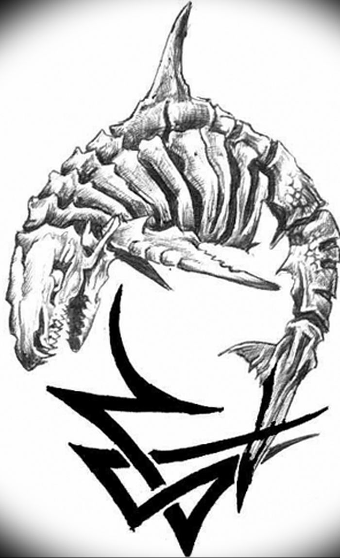photo tattoo shark от 25.09.2018 №275 - drawing of the predator of the seas - tattoovalue.net