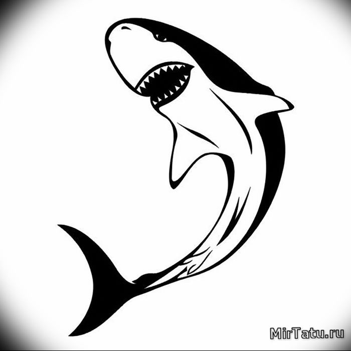 photo tattoo shark от 25.09.2018 №277 - drawing of the predator of the seas - tattoovalue.net
