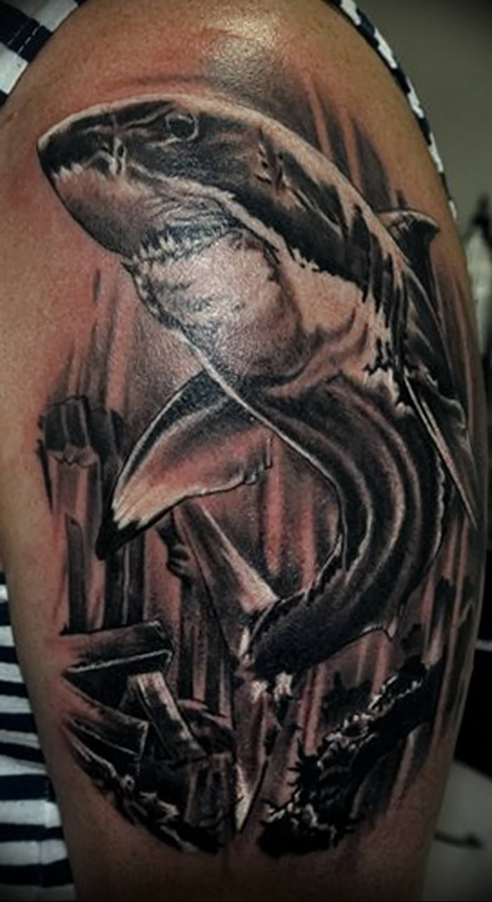 photo tattoo shark от 25.09.2018 №279 - drawing of the predator of the seas - tattoovalue.net