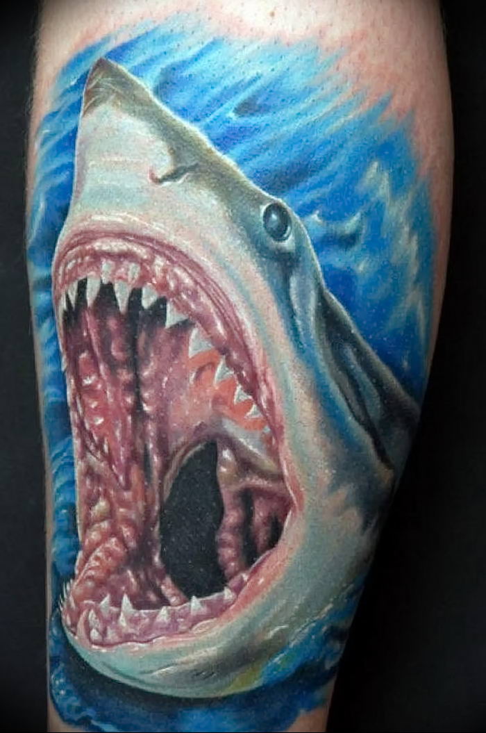 photo tattoo shark от 25.09.2018 №281 - drawing of the predator of the seas - tattoovalue.net
