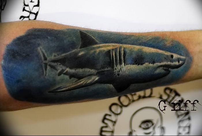 photo tattoo shark от 25.09.2018 №302 - drawing of the predator of the seas - tattoovalue.net