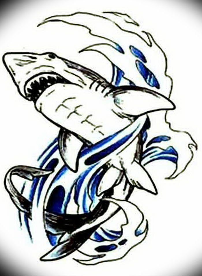 photo tattoo shark от 25.09.2018 №306 - drawing of the predator of the seas - tattoovalue.net