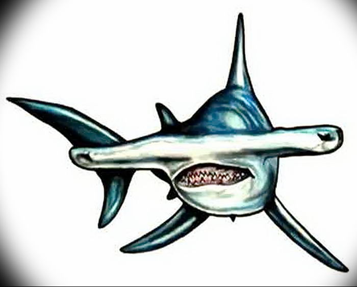 photo tattoo shark от 25.09.2018 №308 - drawing of the predator of the seas - tattoovalue.net