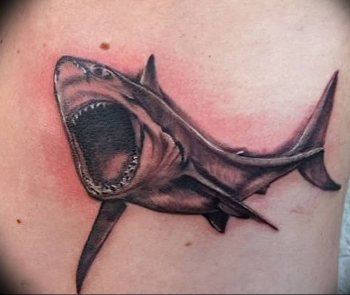photo tattoo shark от 25.09.2018 №312 - drawing of the predator of the seas - tattoovalue.net