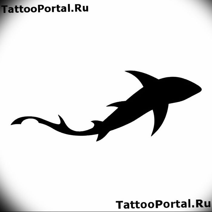 photo tattoo shark от 25.09.2018 №314 - drawing of the predator of the seas - tattoovalue.net